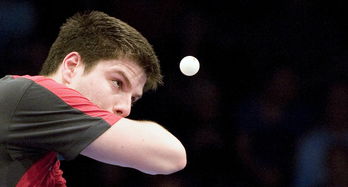 乐鱼官网-瑞典乒乓球队鏖战德国乒乓球队，马龙惊艳世界