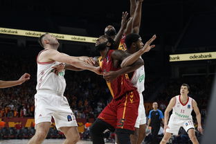 乐鱼体育-拜仁险胜加拿大,哈兰德爆发神勇